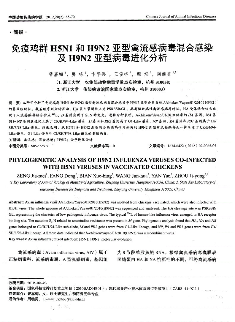 新研究：加热牛奶可显著降低有传染性H5N1禽流感病毒数量