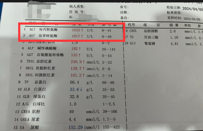 2024年12月11日蓖麻油报价最新价格多少钱