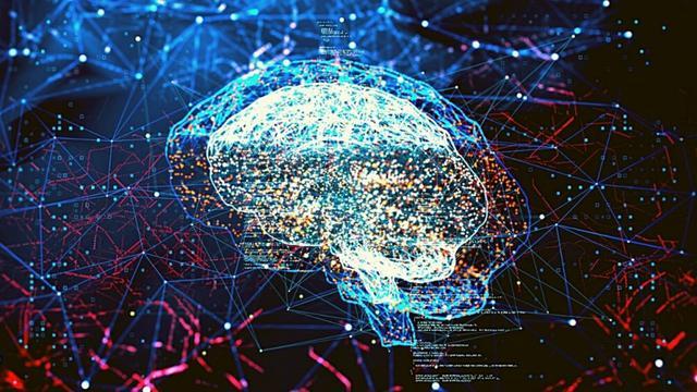我国科学家成功构建微米级脑机接口三维多模态图谱