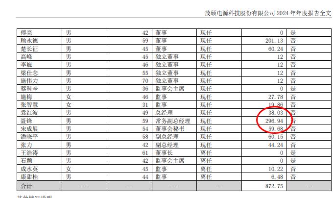 双杰电气2024年净利8084万减少22%：董秘史玉薪酬37万2024年4月上任