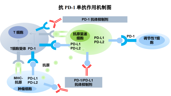 人福医药(600079.SH)：HWS116注射液获得药物临床试验批准通知书