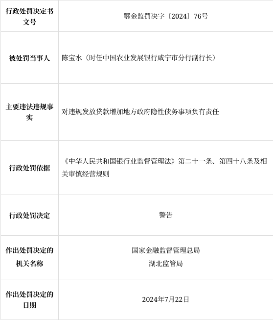 这些地方政府新增隐性债务被问责