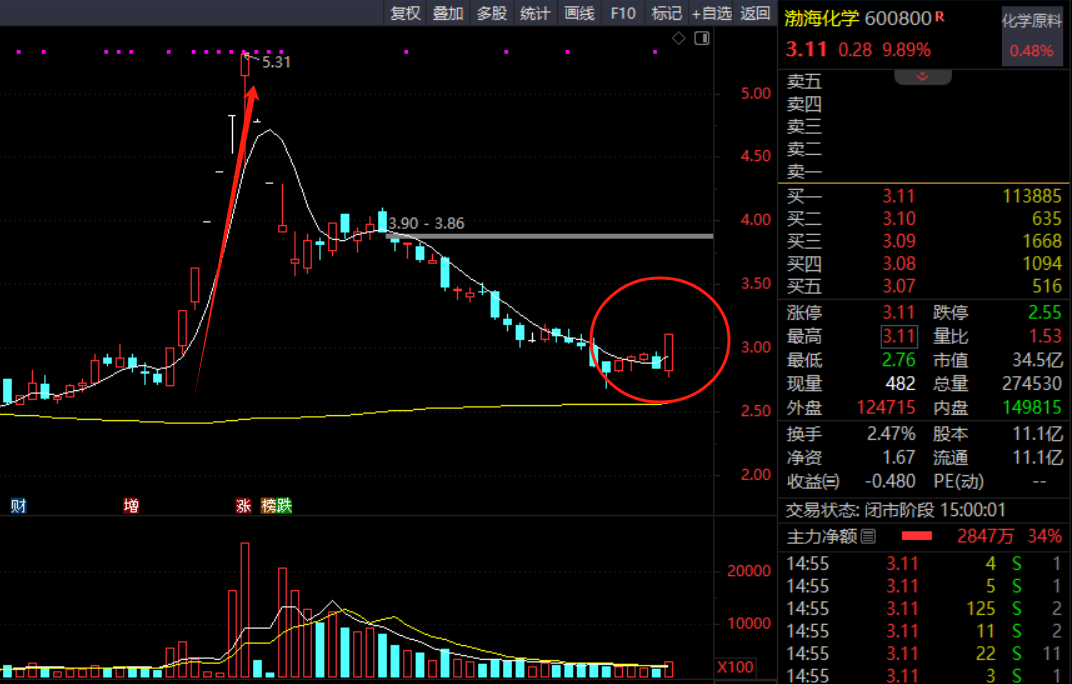 跃岭股份（002725）2024年年报简析：营收净利润同比双双增长，盈利能力上升
