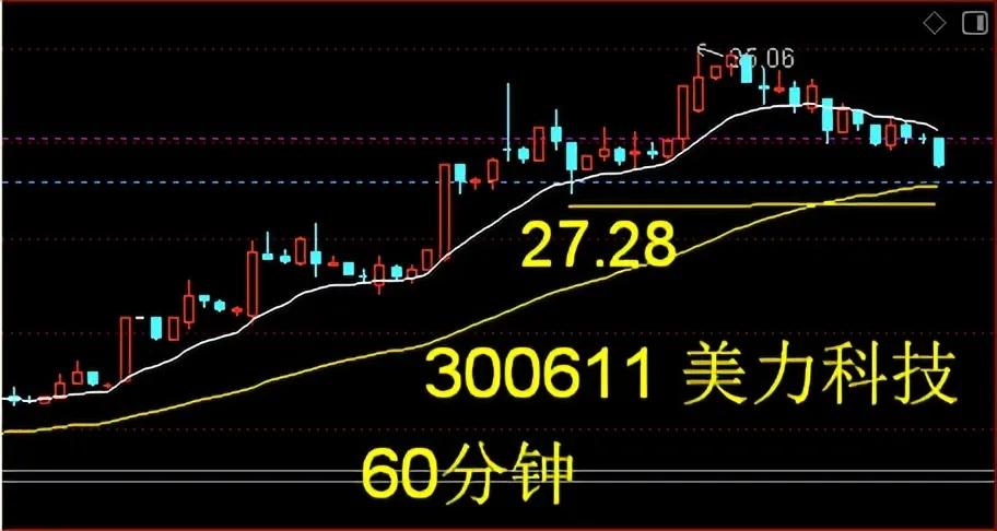 宝塔实业（000595）2025年一季报简析：净利润减44.6%，三费占比上升明显