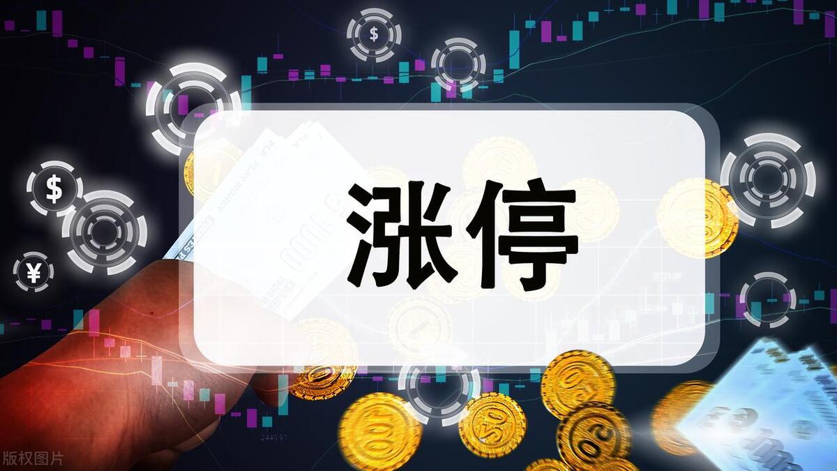 山水比德（300844）2025年一季报简析：增收不增利，三费占比上升明显