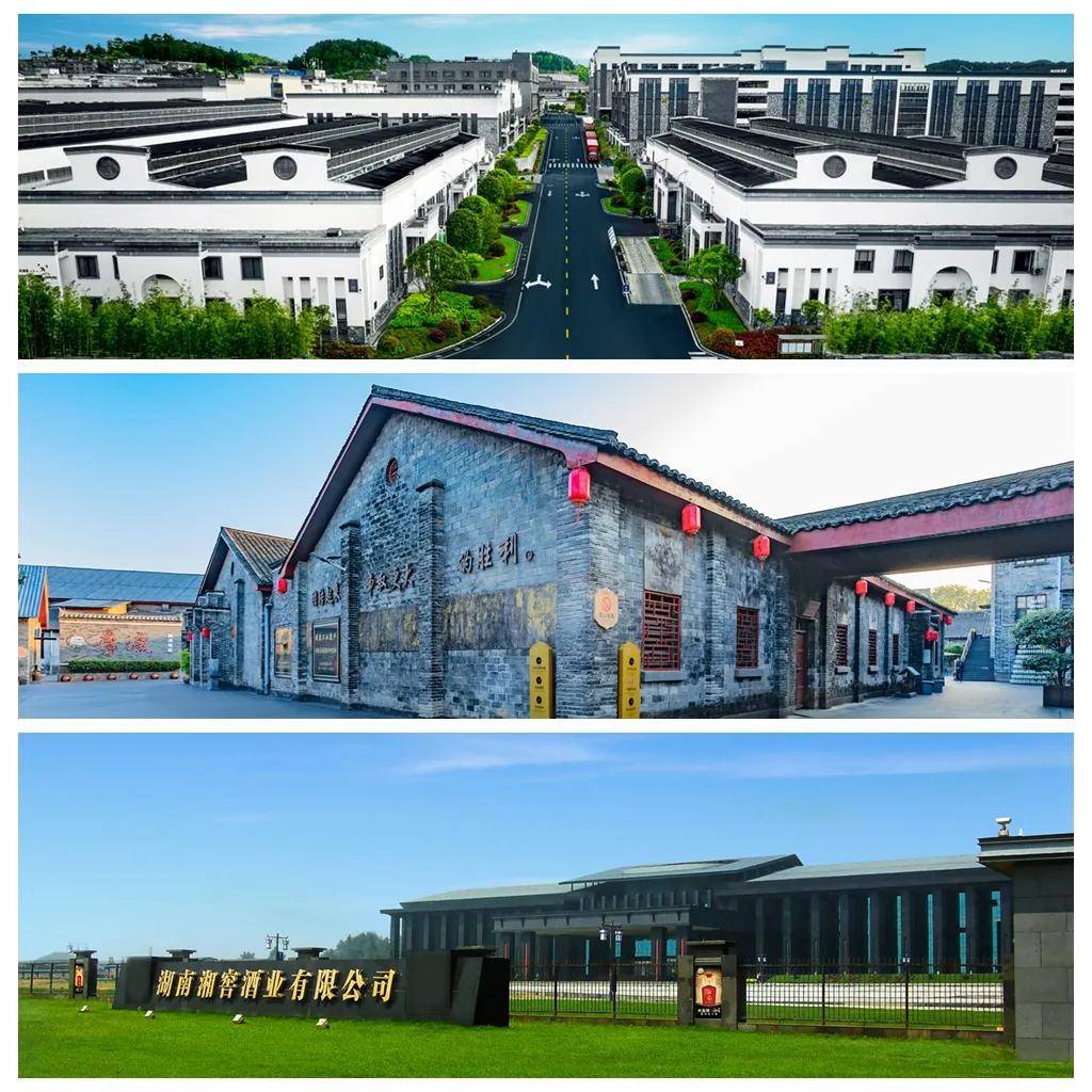 太湖远大2024年营收稳健增长，总资产规模突破12亿元 研发创新驱动未来