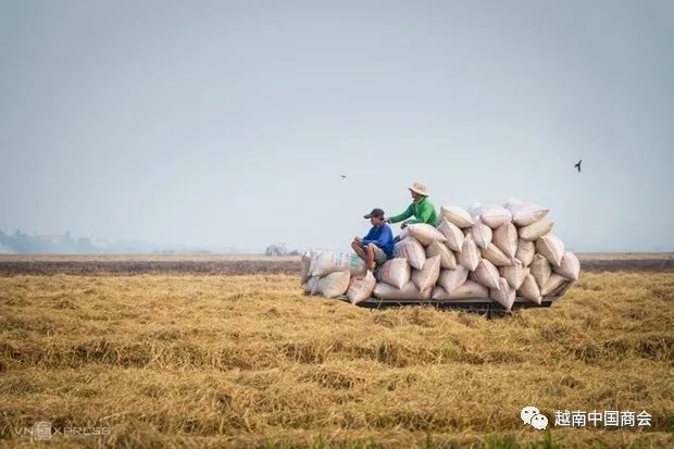 越工贸部要求加强货物原产地监管，切实保护越南商品