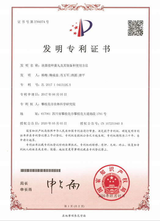 中国汽研获得发明专利授权：“低温车辆在底盘测功机上载荷设定方法”