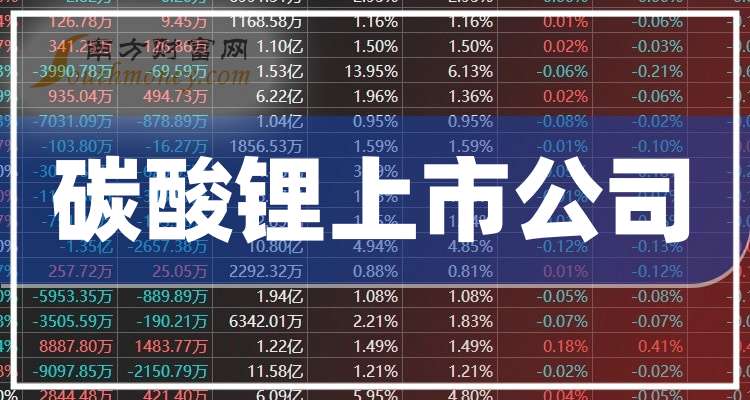雅化集团：公司2024年已建成投产3万吨碳酸锂产线，现有锂盐综合产能9.9万吨