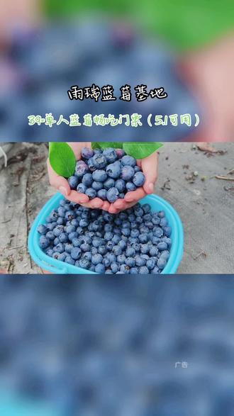津巴布韦蓝莓等浆果出口收入增长351%
