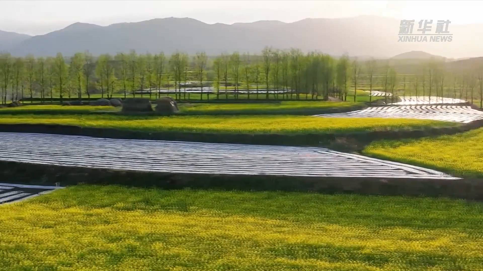 新华全媒+丨黄土高原崛起“算力高地”