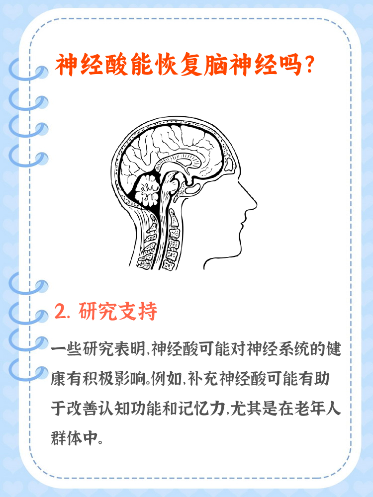研究揭示多不饱和脂肪酸调节神经细胞功能机制