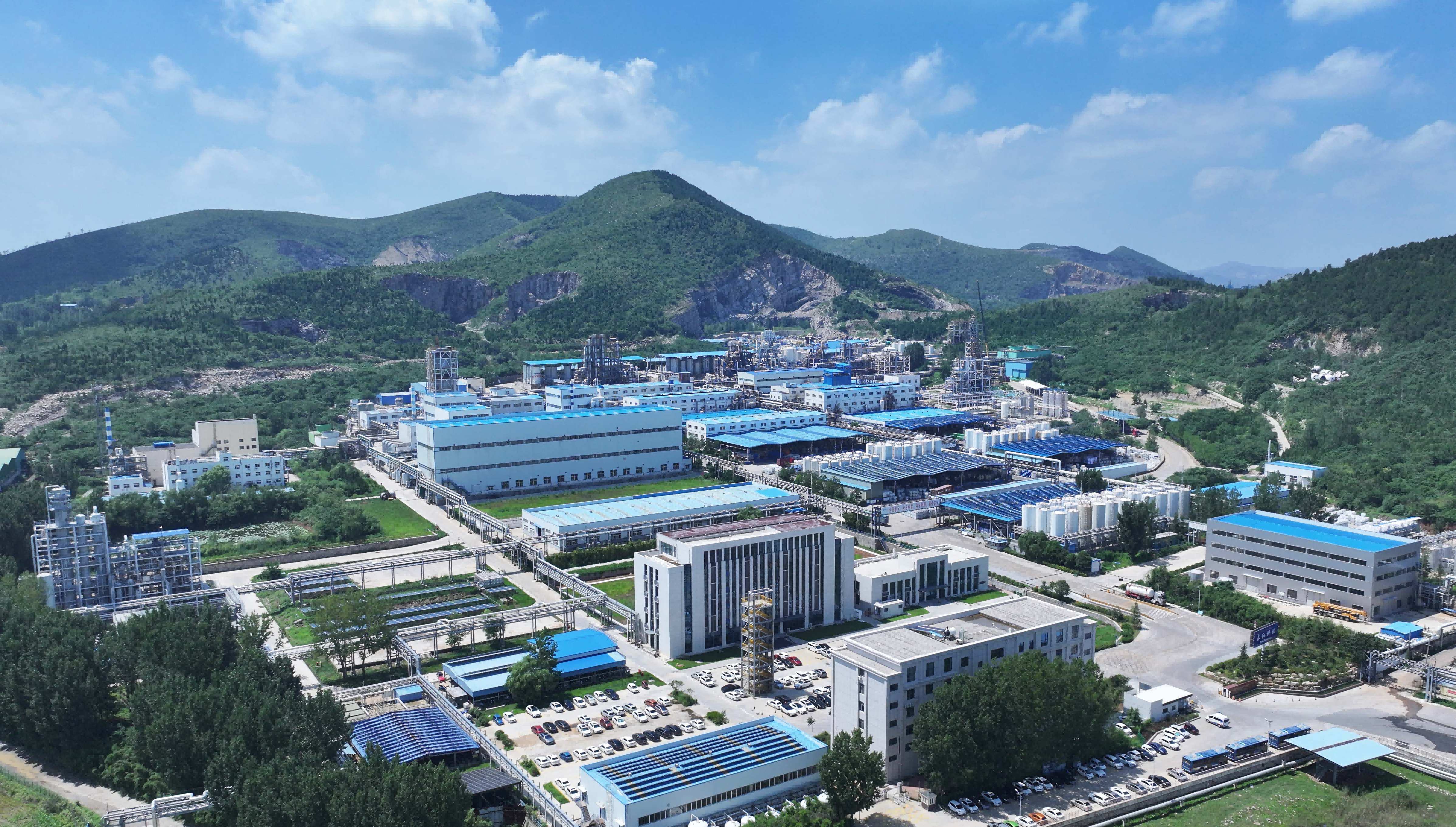新亚强：公司电子级产品作为光刻胶助黏剂与光刻胶配套应用于平板显示、芯片等相关电子领域