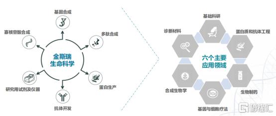 正帆科技：生物医药业务板块为合成生物制造产业提供设备