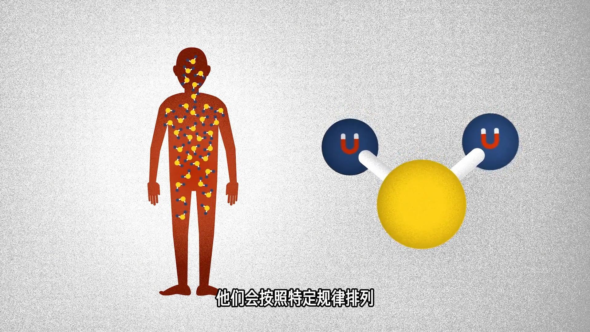 新研究提出用光为量子自旋“护航”