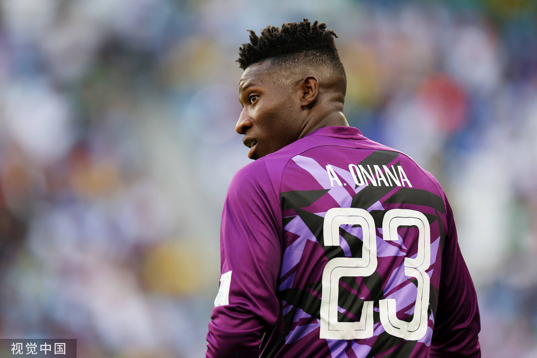 喀麦隆将与瑞士SGS续签装运前合格评定计划（PECAE）合同