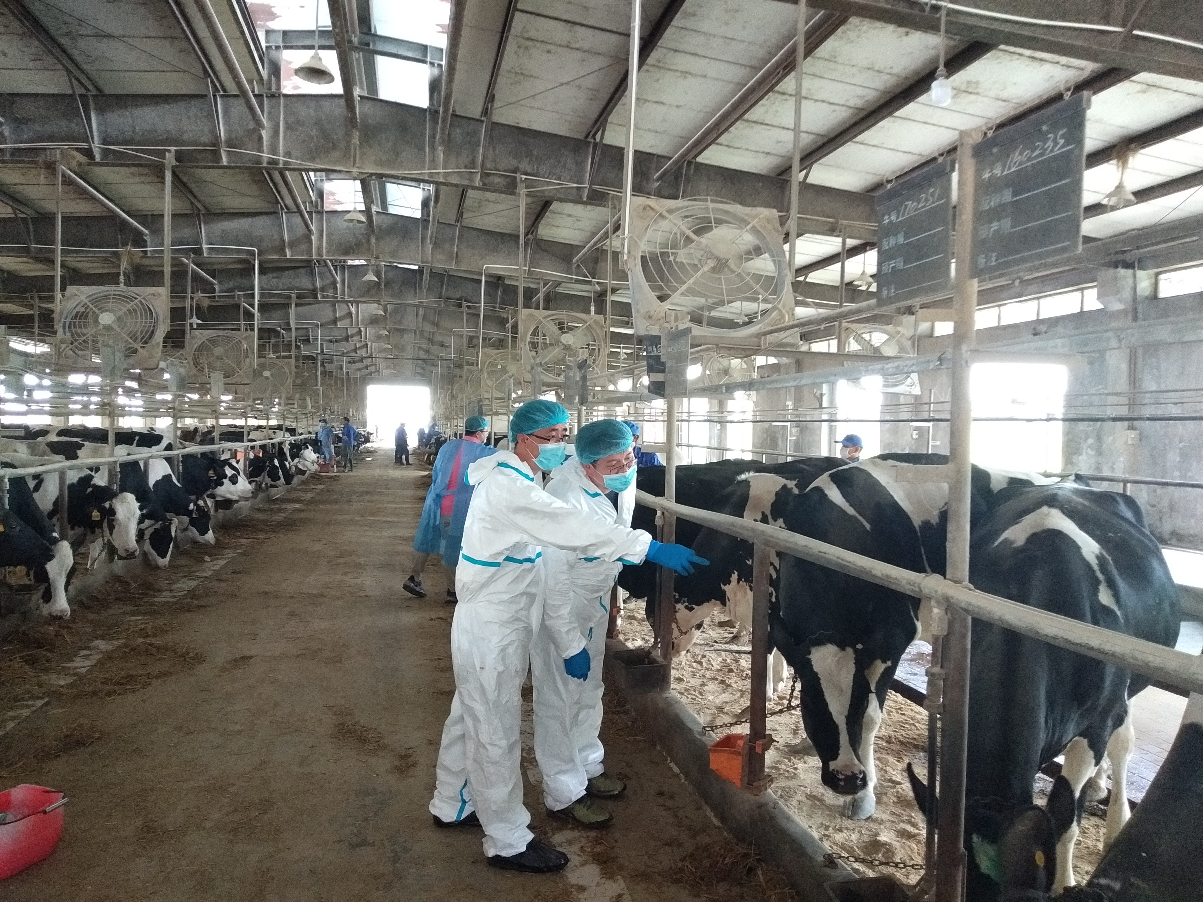 联合国粮农组织与尼日尔签署融资协议