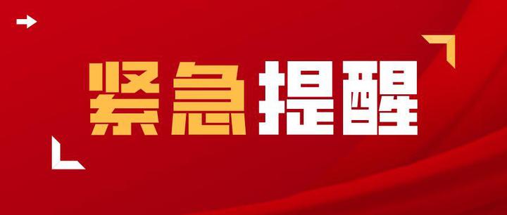 喀麦隆：人道主义援助面临因资金短缺而暂停的风险
