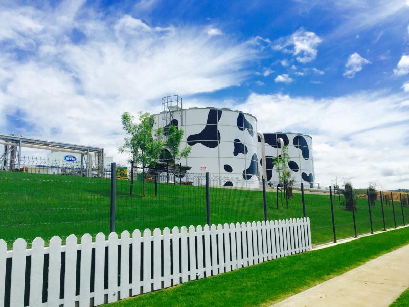 发行规模突破4300亿元 绿色金融债爆发式增长