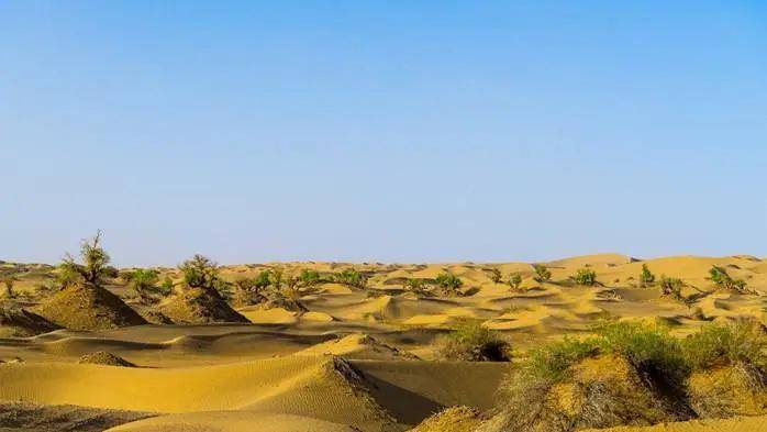 塔吉克斯坦工业企业数量达3936家