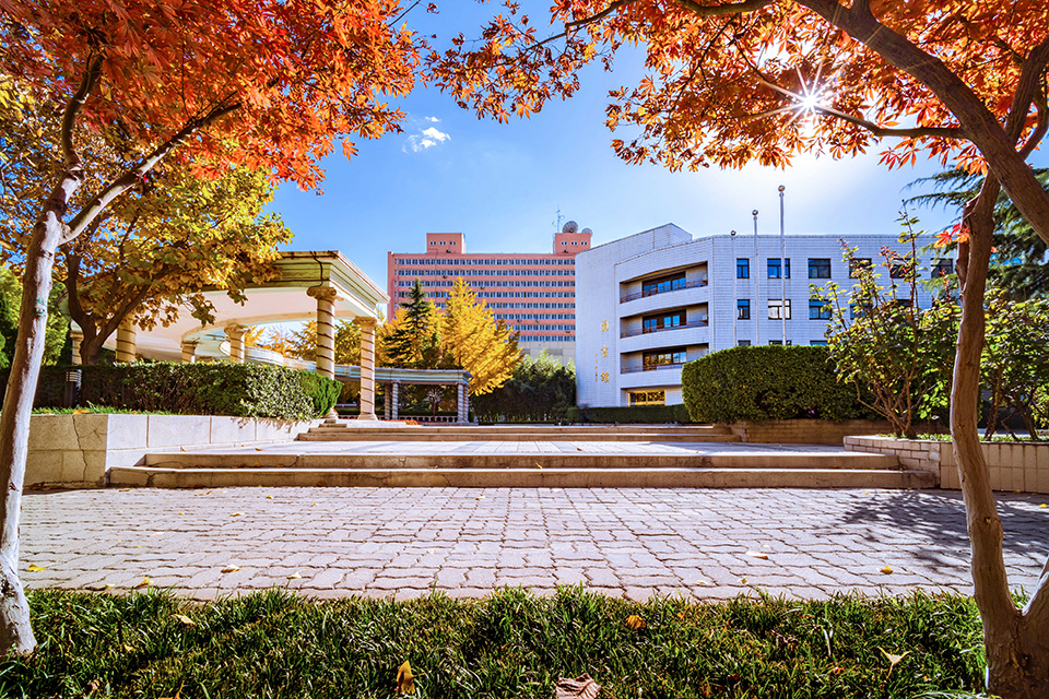 中国石化获得发明专利授权：“一种环加成反应用季�l盐催化剂及其制备方法与应用”