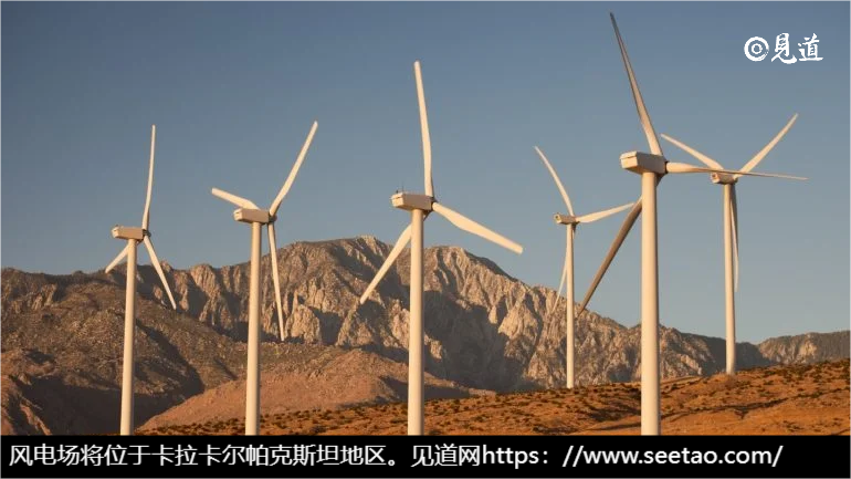 沙特阿拉伯引领非洲和中东地区风电增长