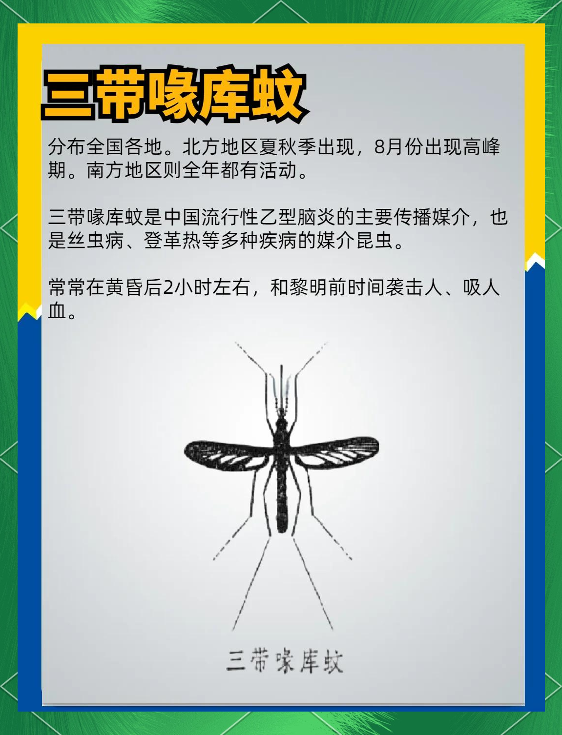 唠“科”话丨为啥蚊子总叮你？“招蚊”跟血型相关？