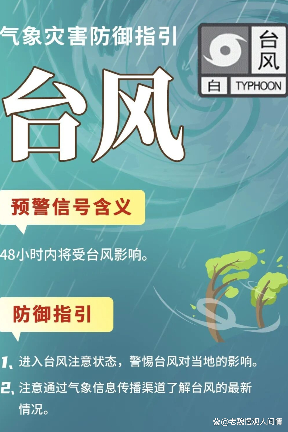 罕见!“沙德尔”停止编号后再度加强为台风 最新路径