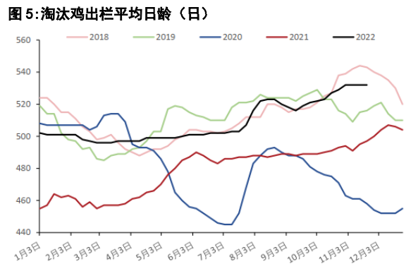 鸡蛋现货价格仍有支撑 节后或将面临震荡调整