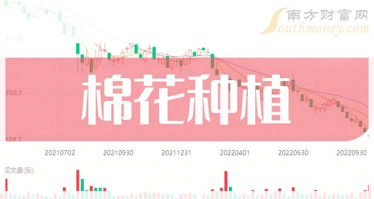 2024年11月26日今日现货棉花价格最新报价多少钱一吨