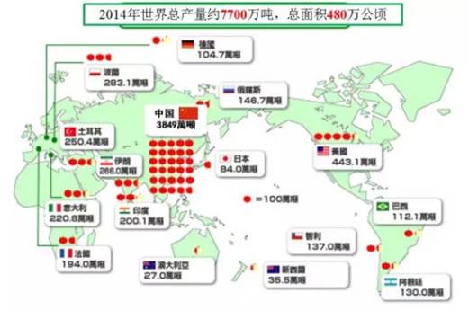 12月26日收盘苹果期货资金流出7349.89万元