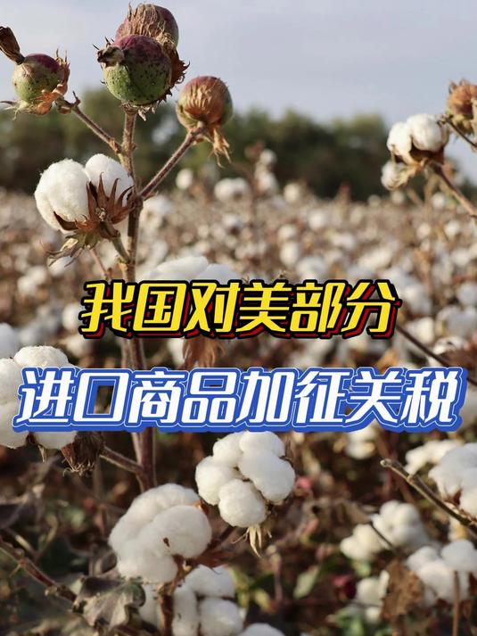 欧盟将对美豆加征关税 豆油短期或宽幅震荡为主