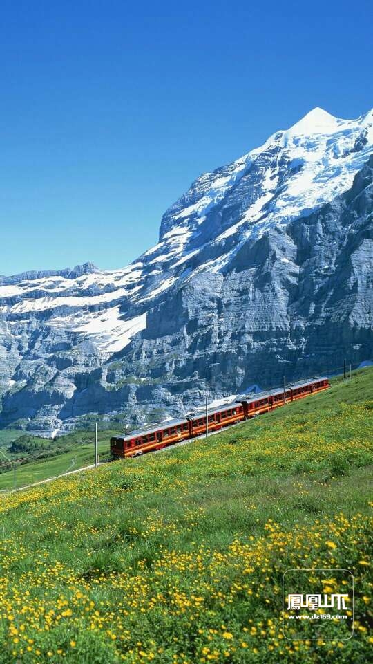 难忘的“装电话热”