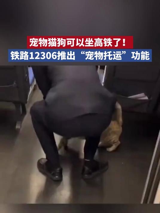 高铁宠物托运:“智能监测+运输箱”打造萌宠专属舱