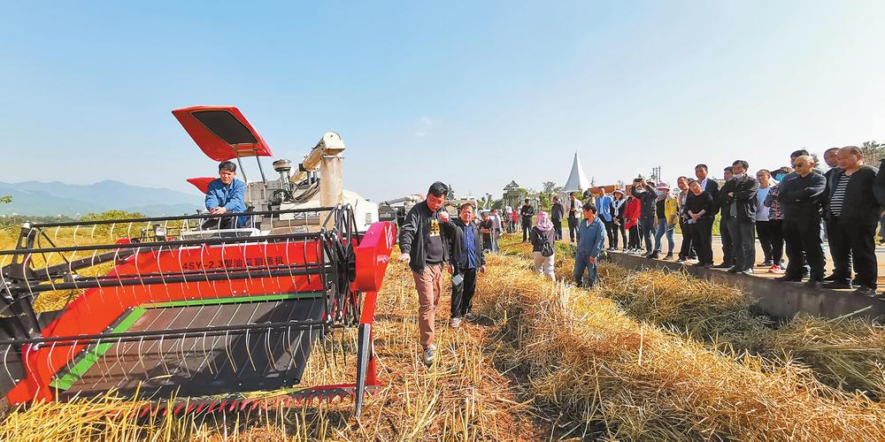 国产农机在窄梯田跳起“芭蕾”