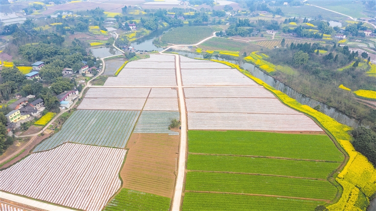 国产农机在窄梯田跳起“芭蕾”
