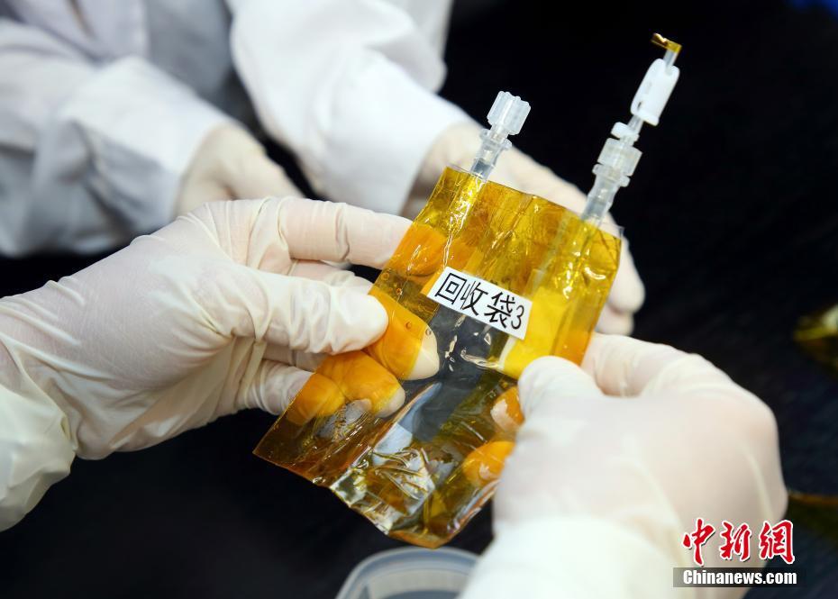 中国空间站第八批科学实验样品顺利返回