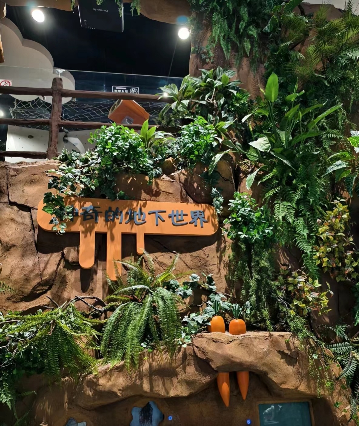 在互动体验中感受智能科技的魅力