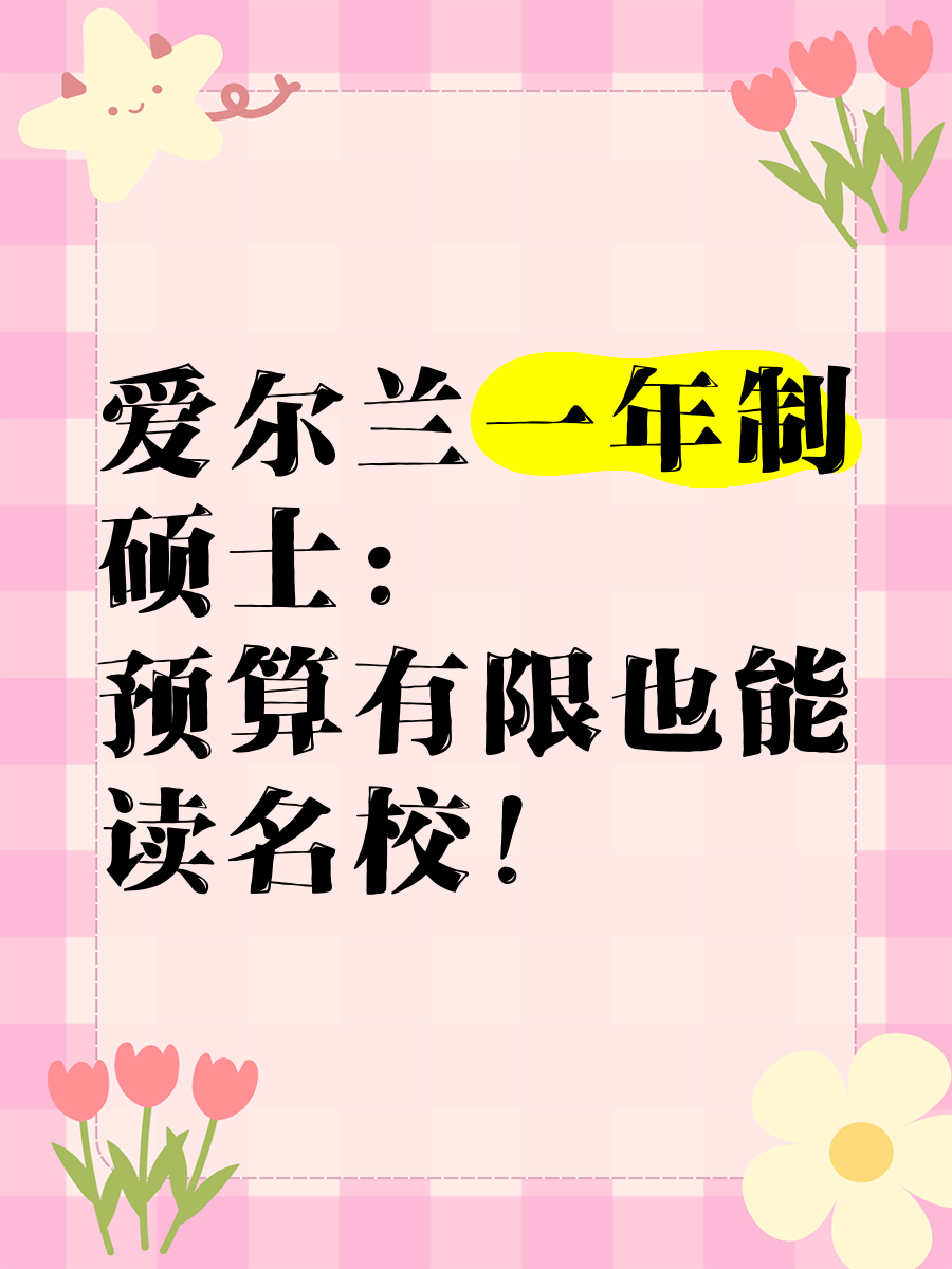 公共研究办公室劝诫留学生不要来爱尔兰攻读博士学位