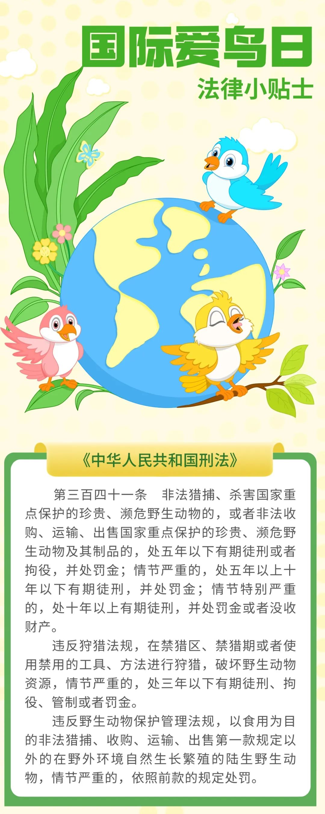 爱鸟护鸟，这些科技手段在助力