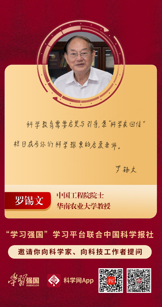 登上《科学》 我国科学家在新型半导体光伏研发实现新突破