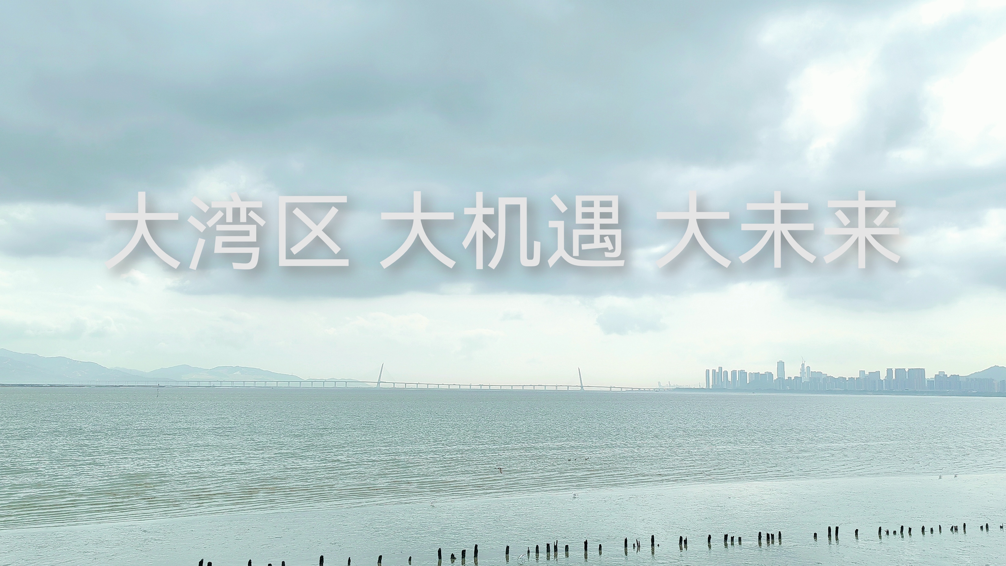 阿联酋在海湾地区投资放缓中展现强劲韧性，稳居FDI高地