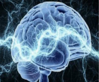 微米级“脑地图”来了！我国科学家在脑图谱研究领域取得新突破