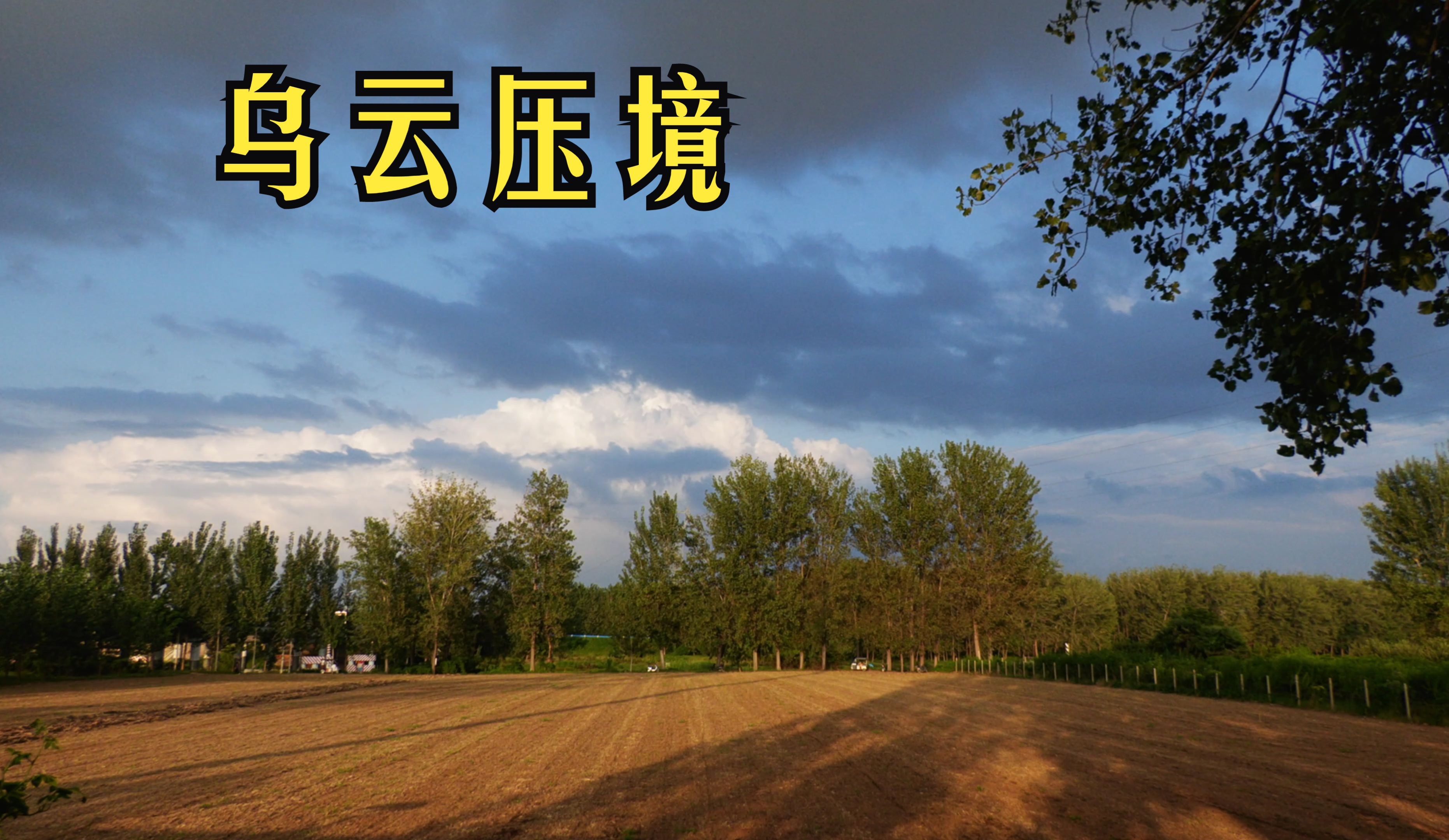 特写：乌云压境处，有群追雷的人