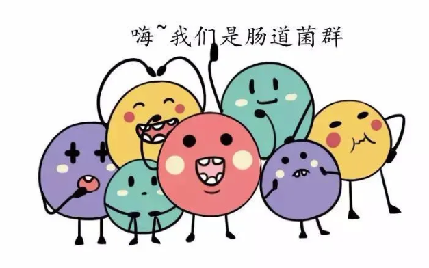 芬兰研究发现孕产妇心理健康与肠道菌群有关