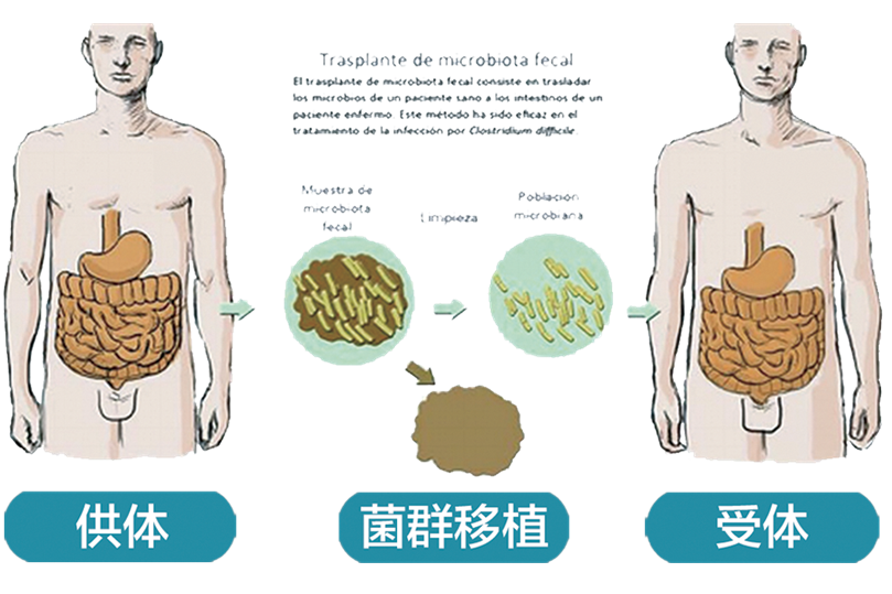 芬兰研究发现孕产妇心理健康与肠道菌群有关