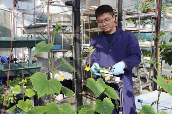 第五届“多多农研科技大赛”初赛四强出炉，植物工厂商业化成赛事角逐焦点