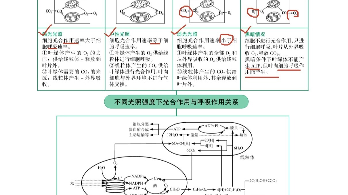科学与健康丨以光为“尺”探索物质微观结构！我国首台高能同步辐射光源今年底试运行