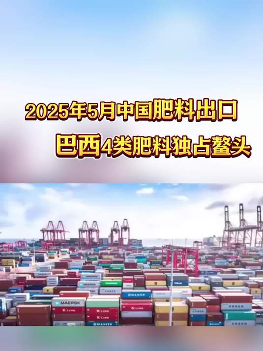 2025年上半年中国对巴西出口保持快速增长势头