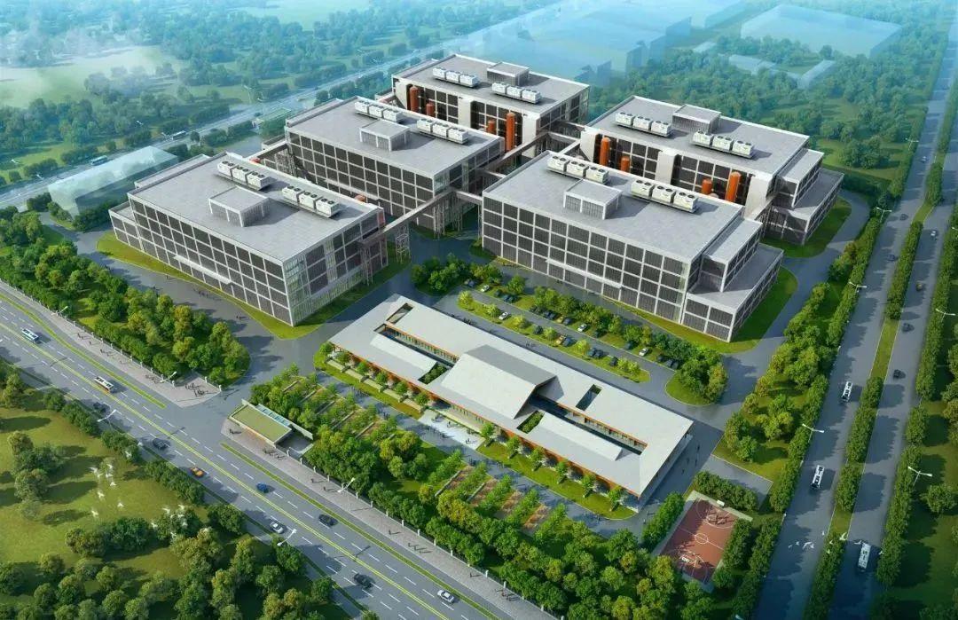 绿色算力“算”出发展新机遇